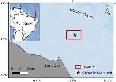 Heatwaves and a decrease in turbidity drive coral bleaching in Atlantic marginal equatorial reefs